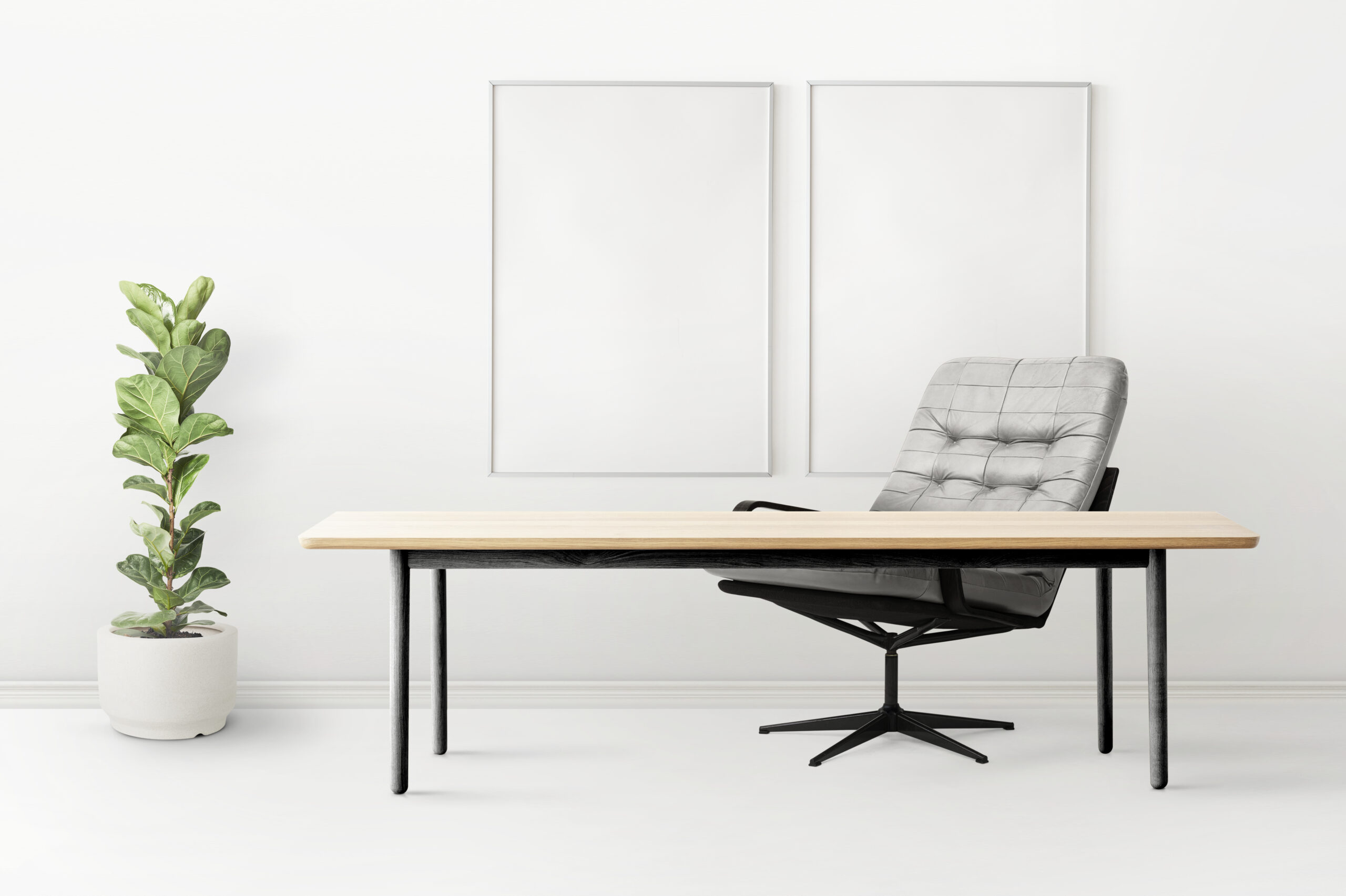 minimal home office interior design with fiddle leaf fig plant